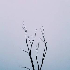 外国羞耻网站spank
